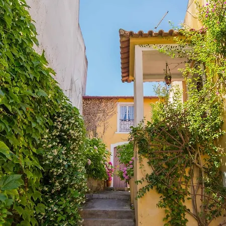 Casa Amor De Ines Vila